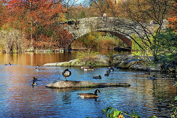 New York City, Central Park, Gapstow Bridge and Pond