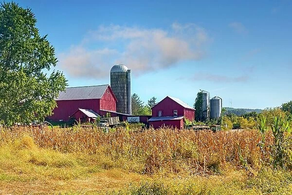 New York, Warwick, Farm with Barn and silos