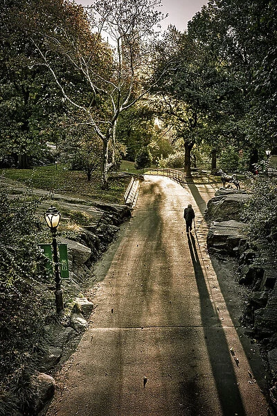 NY, NYC, Central Park