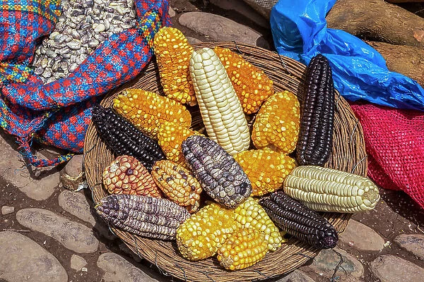 Peru, Sacred Valley, Pisac, variety of corn display