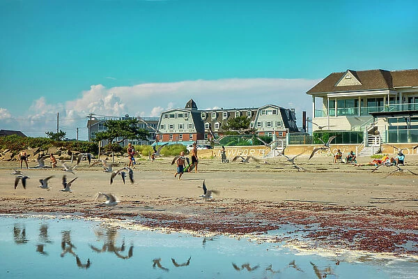 Rhode Island, Newport, Scene at Atlantic beach