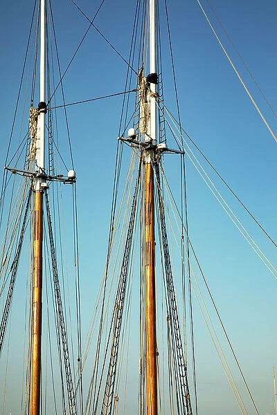 Rhode Island, Newport, Ships Masts at Harbor Island Marina