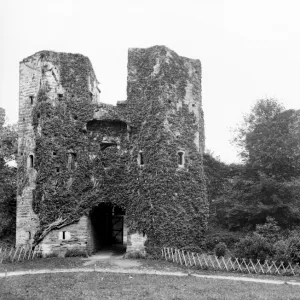 Berry Pomeroy Castle in 1901 BB98_06418