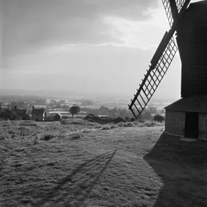 Industry Collection: Agricultural History