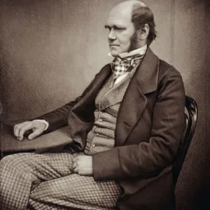 Charles Darwin K970247