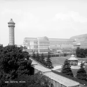 Victoriana Collection: Victorian Exhibitions