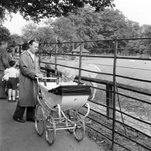 Dad with pram a066358