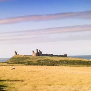 Dunstanburgh Castle N060222