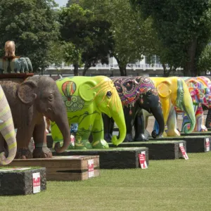 Elephant Parade DP094995