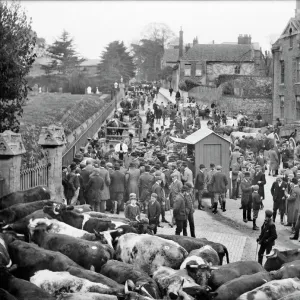 Faringdon Cattle Market CC97_02236