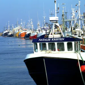 Fishing boats in Amble Harbour K011713