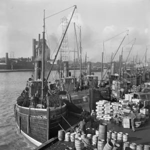 Fishing boats, Great Yarmouth a98_10885