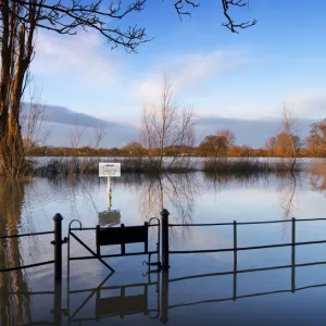 Climate and weather Canvas Print Collection: Flooding