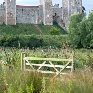 Framlingham Castle N071523