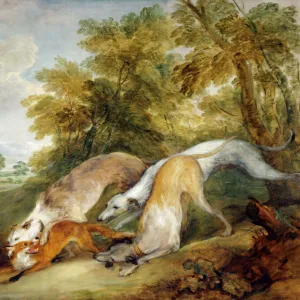 Gainsborough - Greyhounds coursing a Fox J920623