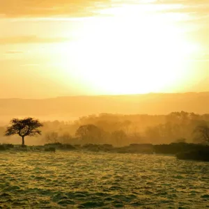 Hadrians Wall N070323