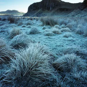 Hadrians Wall : Steel Rigg J080002