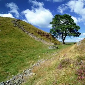 Archaeology Collection: Roman Britain