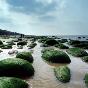 Hunstanton Beach K020480