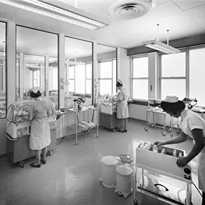 Healthcare Photographic Print Collection: Ward life