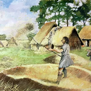 Iron Age farming J950067