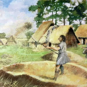 Iron Age farming J950067