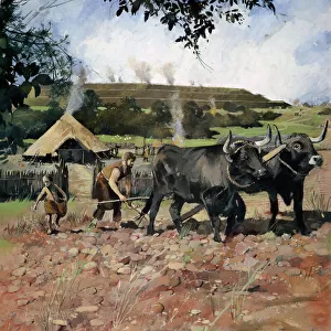 Iron Age farming N080555