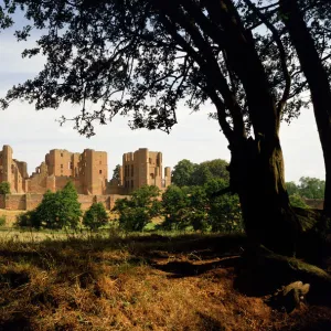 Kenilworth Castle K900477