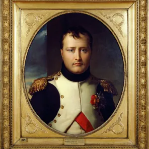 Lefevre - Napoleon Bonaparte J040036