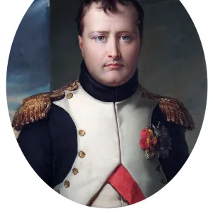 Waterloo 200 Photo Mug Collection: Portraits of Napoleon