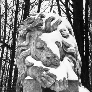 Lion statue, Highgate Cemetery OP04501