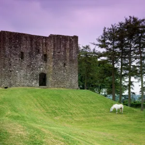 Lydford Castle J880437