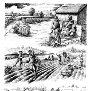 Medieval farming N070208