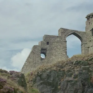 More features Photographic Print Collection: Romantic Ruins