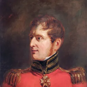 Pieneman - Field Marshal Lord James Somerset N070464