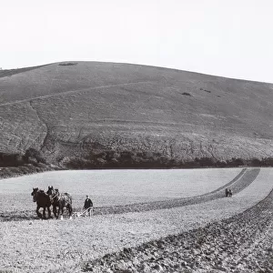Ploughing DIX02_01_081