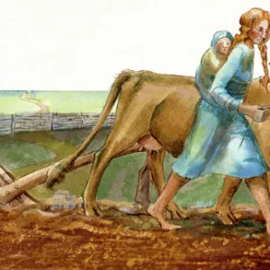 Ploughing J910038