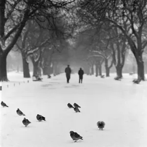 Regents Park snow a073209