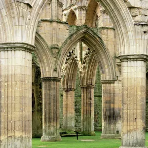 Rievaulx Abbey J060222