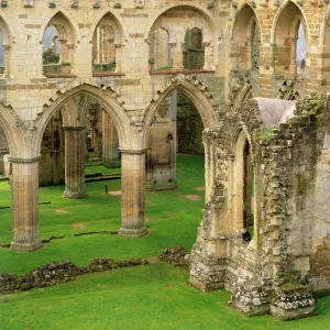 Rievaulx Abbey J060223