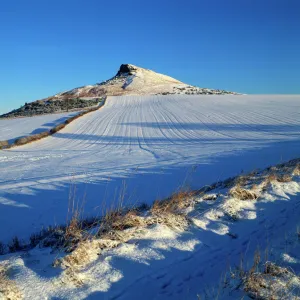 Roseberry Topping K011542