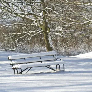 Snow covered bench N090025