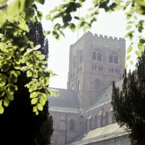 Cathedrals Premium Framed Print Collection: St Albans Abbey