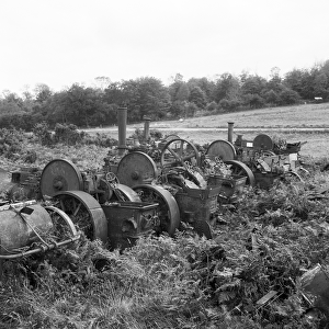 Steam engines, Norfolk a98_07546