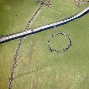 Sunkenkirk Stone Circle 28864_012