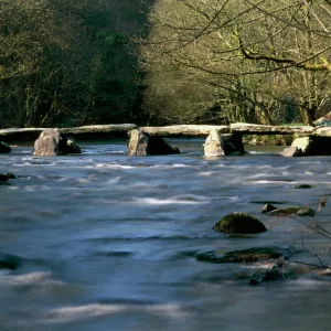 Tarr Steps K020601