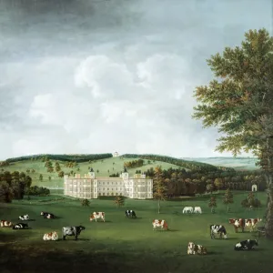 Landscape Gardens Rights Managed Collection: Audley End