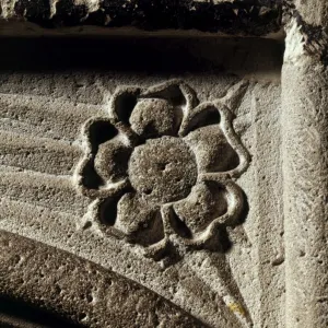 Tudor rose, Dover Castle J970005