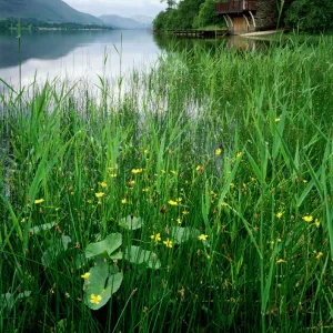 Ullswater Boat House, Lake District J060232