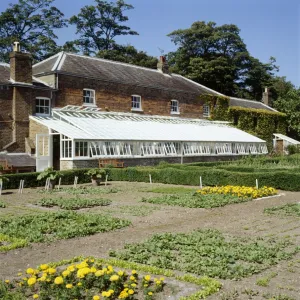 Walmer Castle kitchen garden K021489